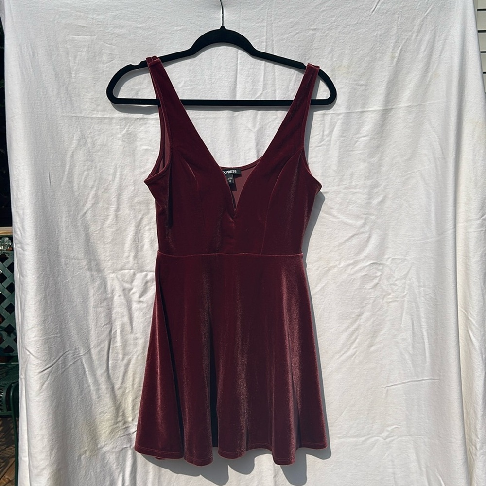 Express Rose Velvet Skater Dress